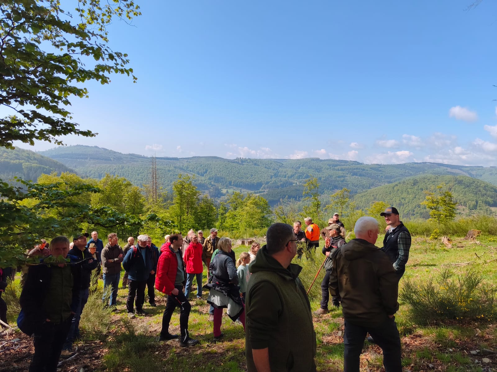 Waldbegang 